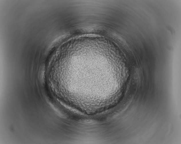 X0000113330590200910051148