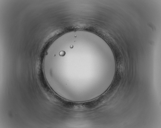 X0000113330591200910051148