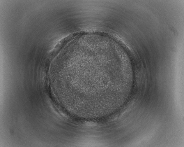 X0000113330592200910051148