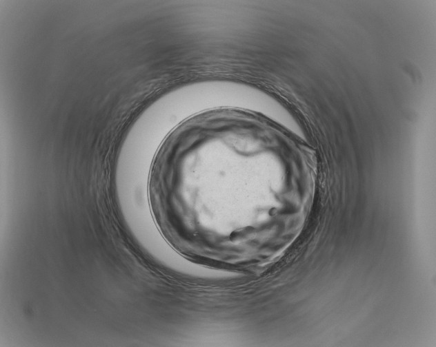 X0000113330593200910051148