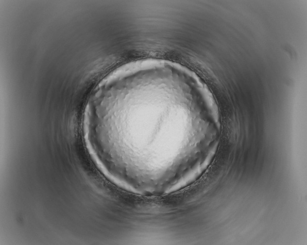 X0000113330594200910051148