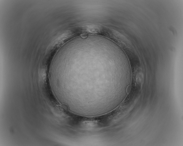 X0000113330595200910051148
