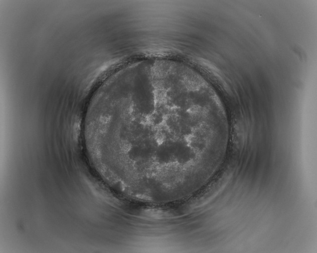 X0000113330596200910051148
