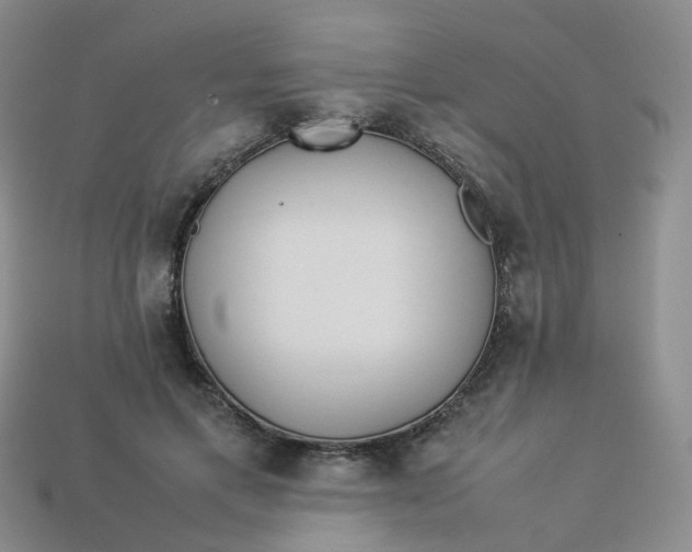 X0000113330597200910051148