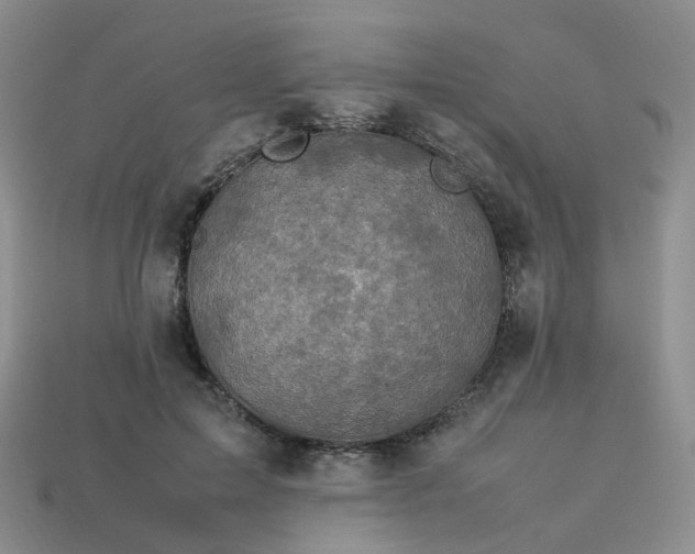 X0000113330599200910051148