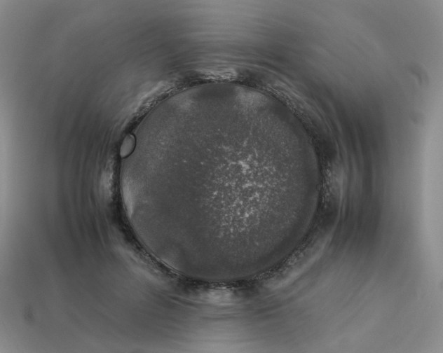 X0000113330600200910051148