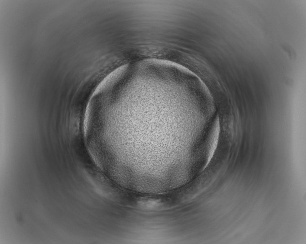 X0000113330602200910051148
