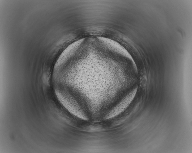 X0000113330604200910051148