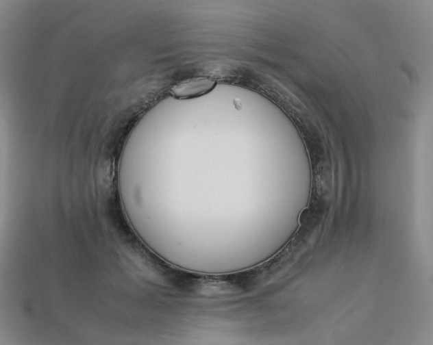 X0000113330605200910051148