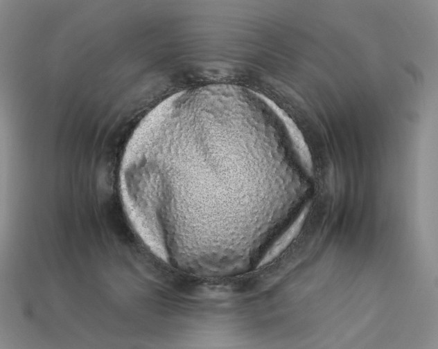 X0000113330606200910051147