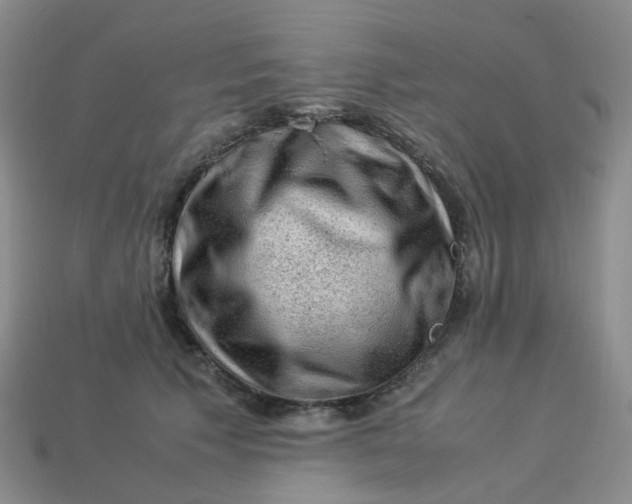 X0000113330609200910051147
