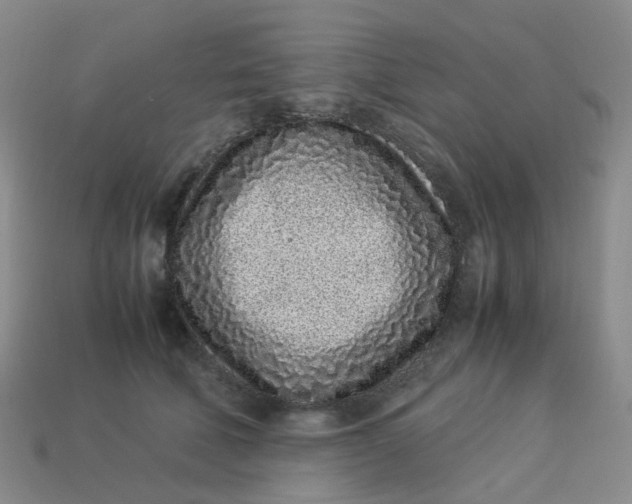 X0000113330610200910051147