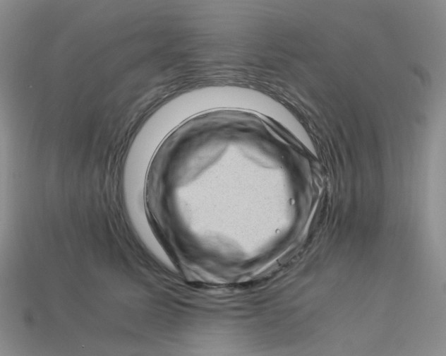 X0000113330611200910051147