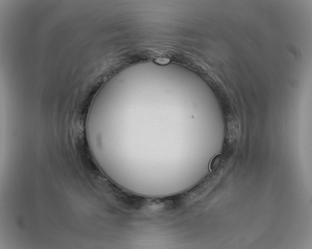 X0000113330613200910051147