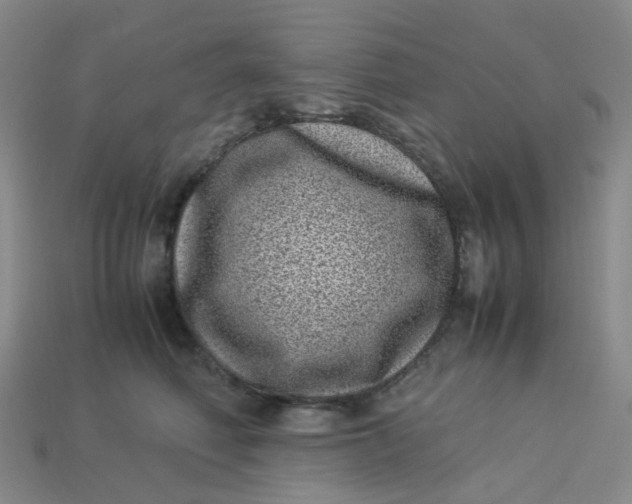 X0000113330614200910051147