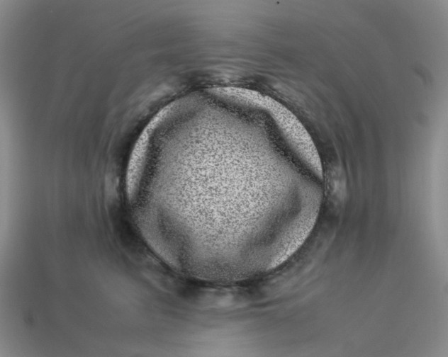 X0000113330615200910051147