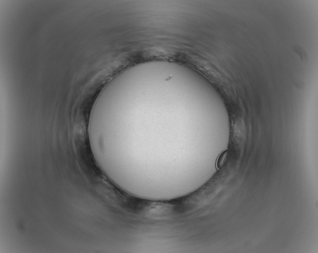 X0000113330617200910051147