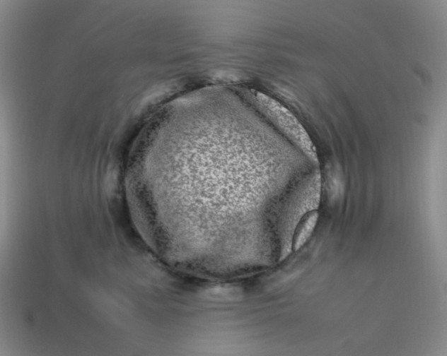 X0000113330619200910051147