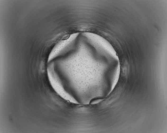 X0000113330620200910051147