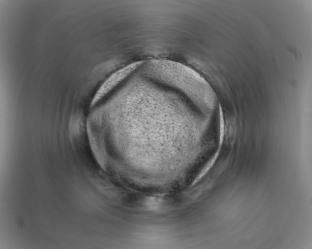 X0000113330623200910051147