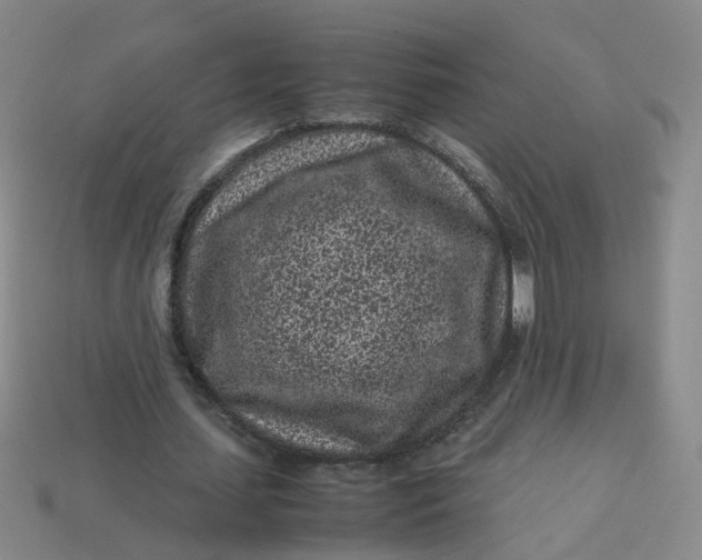 X0000113330627200910051146