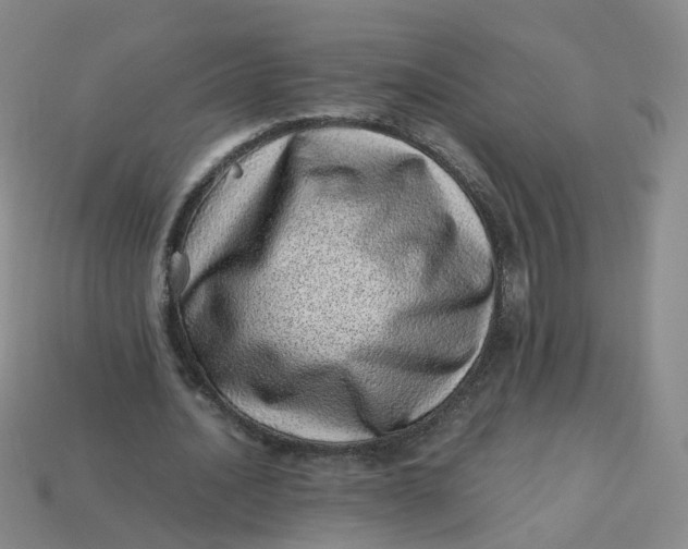 X0000113330628200910051147
