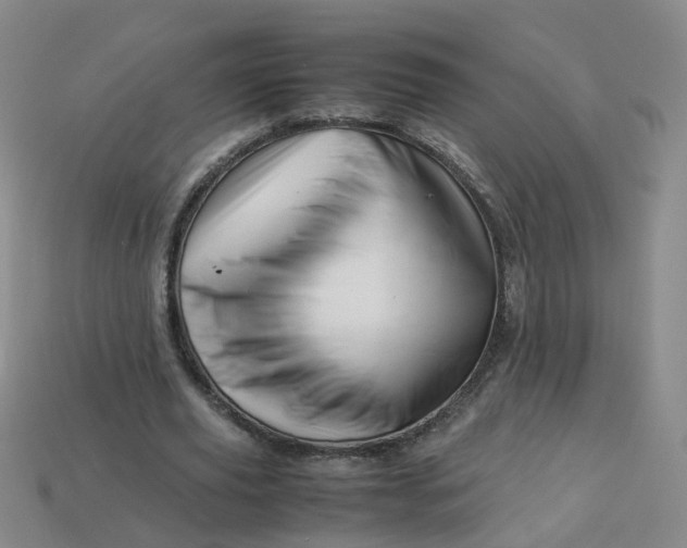 X0000113330629200910051147