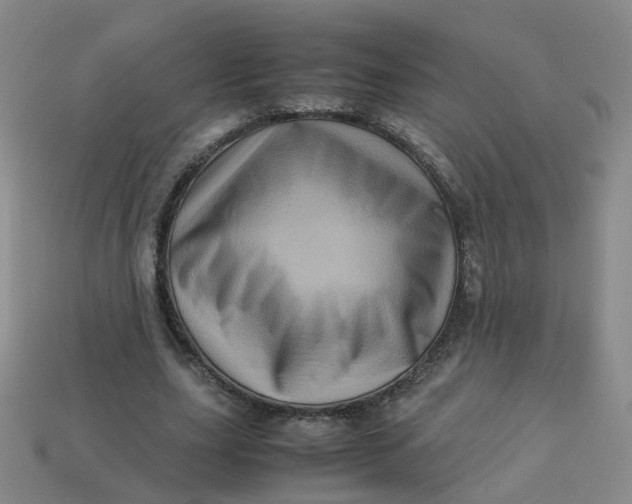 X0000113330631200910051147