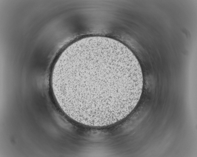 X0000113330632200910051147