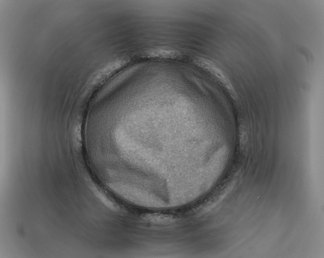 X0000113330633200910051147