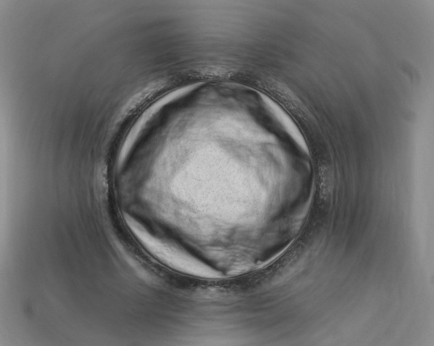 X0000113330634200910051147