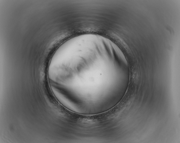 X0000113330635200910051147