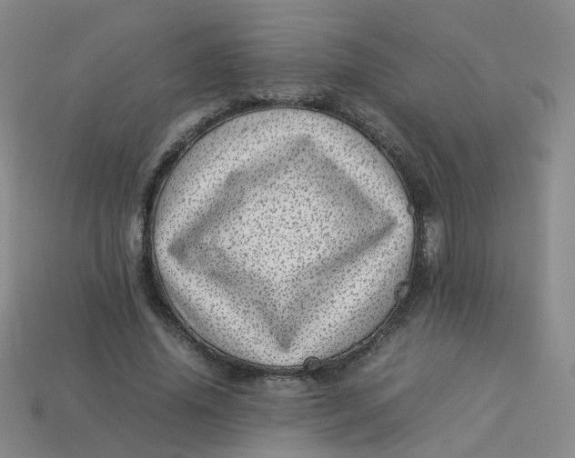 X0000113330636200910051147