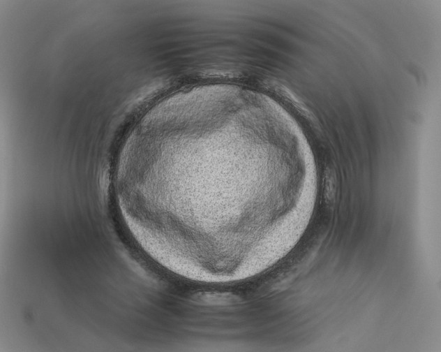 X0000113330637200910051147
