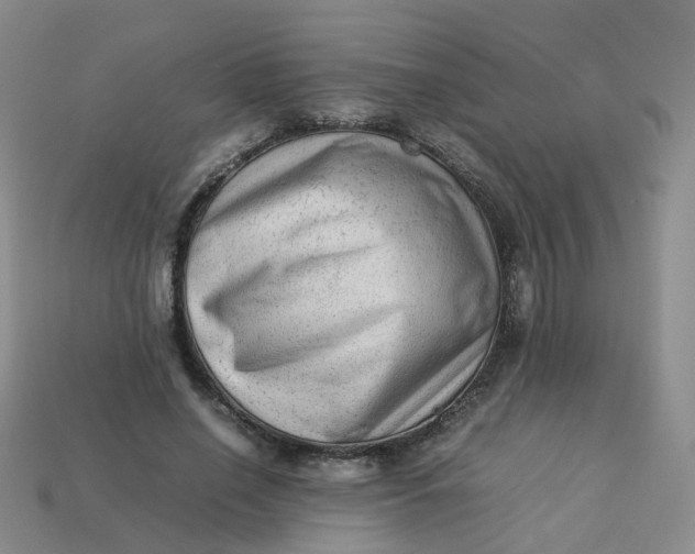 X0000113330638200910051147