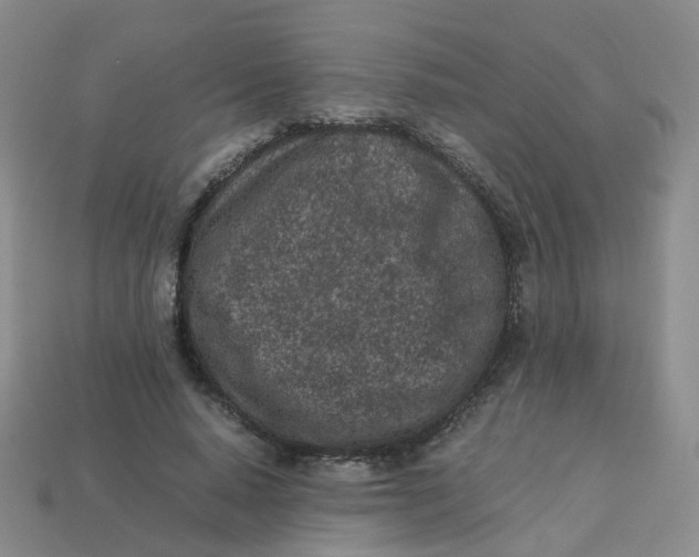 X0000113330640200910051147