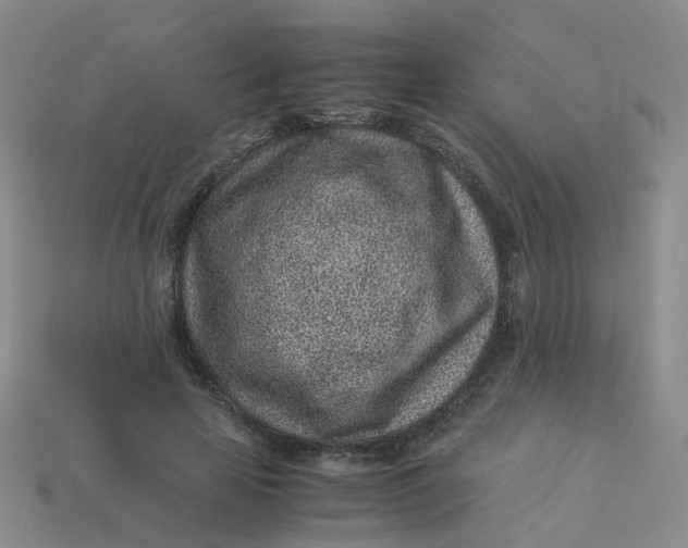 X0000113330641200910051147