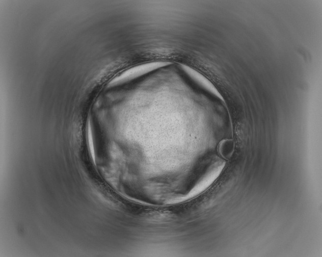 X0000113330642200910051147