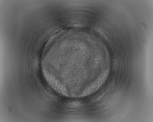 X0000113330643200910051147