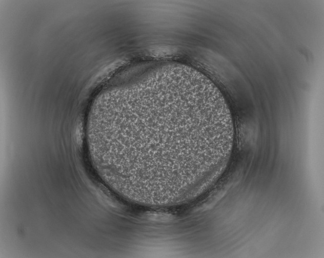X0000113330644200910051147