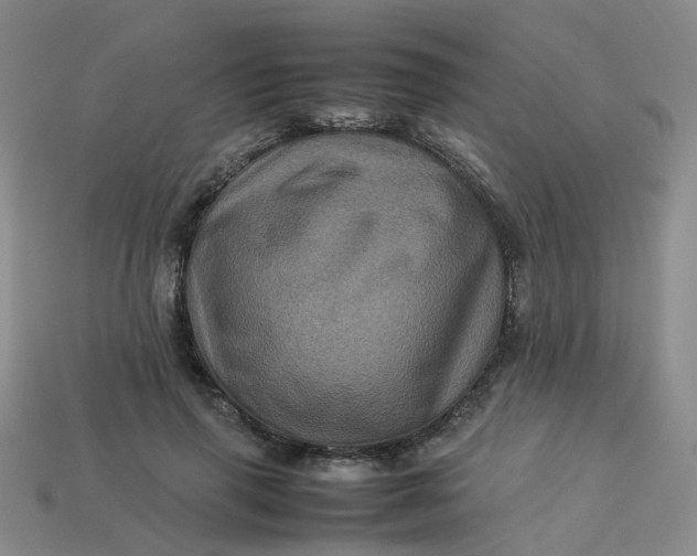 X0000113330645200910051147