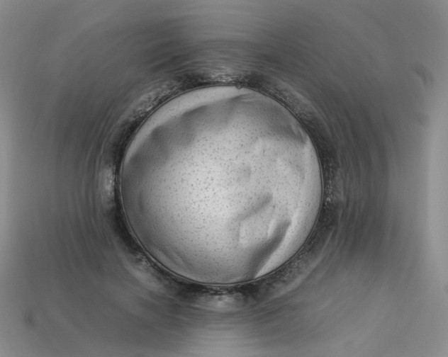 X0000113330646200910051147