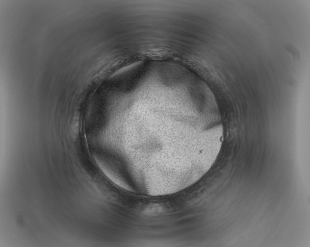 X0000113330647200910051147