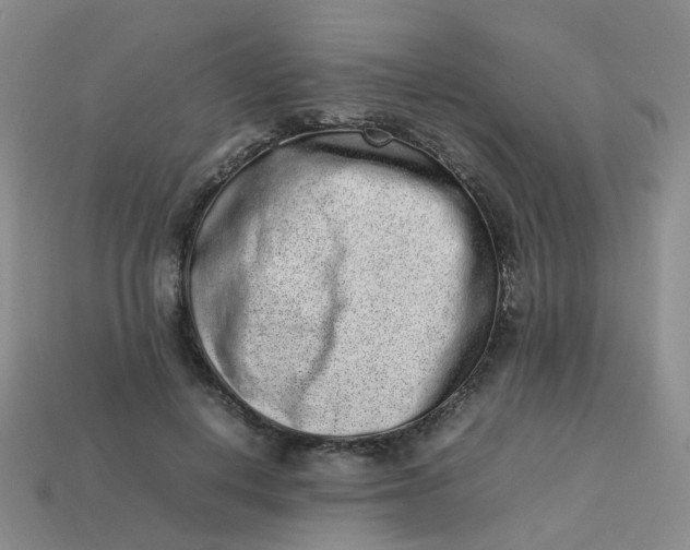 X0000113330648200910051147