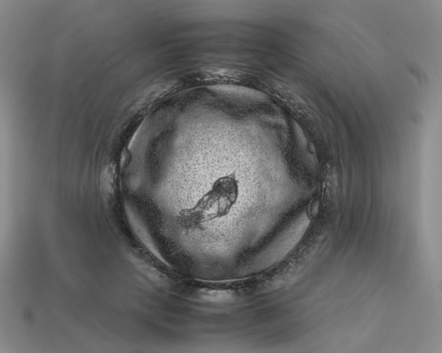 X0000113330649200910051147