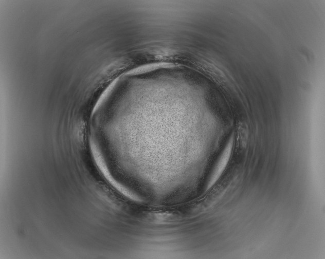 X0000113330650200910051147