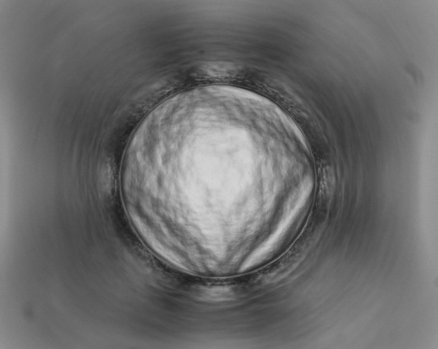 X0000113330651200910051147