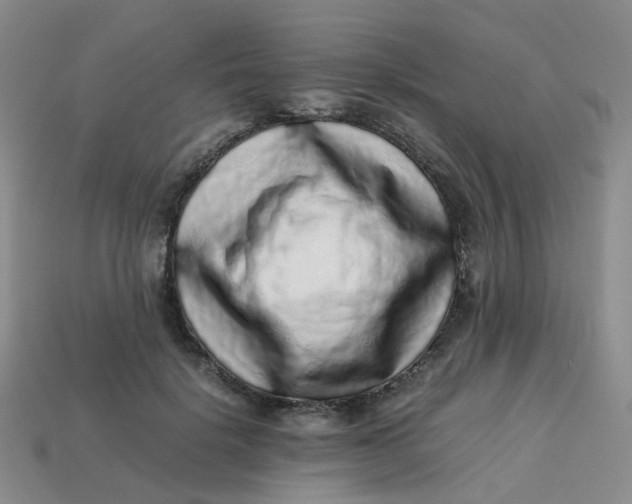 X0000113330652200910051147