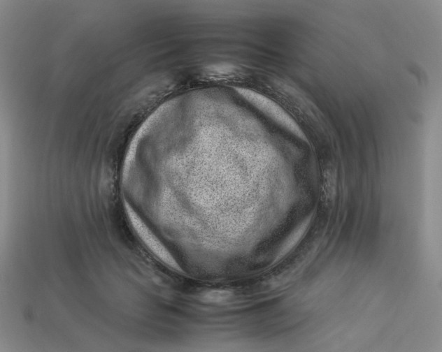 X0000113330653200910051147