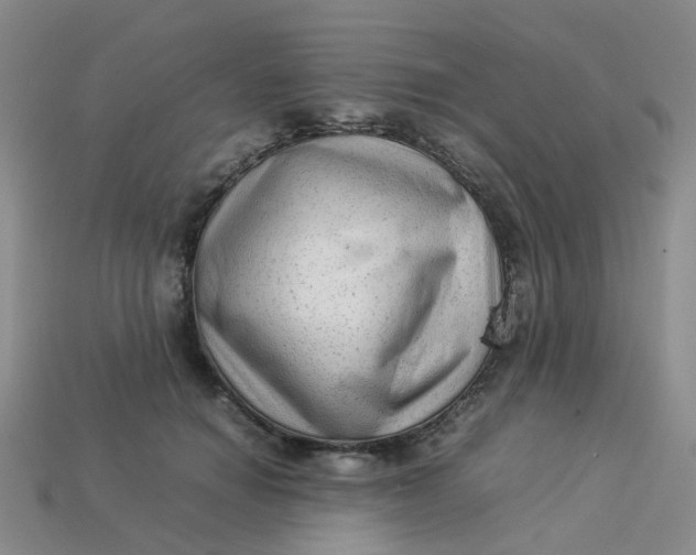 X0000113330654200910051147